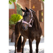 LeMieux Capezzina Versailles Fiore LeMieux Capezzina Versailles Fiore