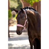 LeMieux Capezzina Versailles Fiore LeMieux Capezzina Versailles Fiore