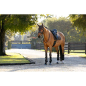 LeMieux Sottosella Brilliance Dressage Espresso LeMieux Sottosella Brilliance Dressage Espresso