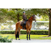 LeMieux Sottosella Brilliance Dressage Espresso LeMieux Sottosella Brilliance Dressage Espresso