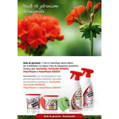 Leovet Faser di potenza Leovet Faser di potenza