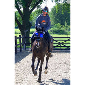 eQuick Occhiali eVysor Blu eQuick Occhiali eVysor Blu