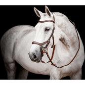 Rambo Briglia multipla Micklem New Dark Havana Rambo Briglia multipla Micklem New Dark Havana