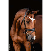 Schockemöhle Filetto SP Isabell Werth Johnny Nero/Argento Schockemöhle Filetto SP Isabell Werth Johnny Nero/Argento