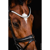 Schockemöhle Filetto SP Isabell Werth Johnny Nero/Argento Schockemöhle Filetto SP Isabell Werth Johnny Nero/Argento