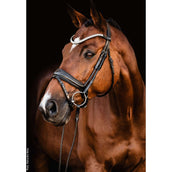 Schockemöhle Filetto SP Isabell Werth Johnny Nero/Argento Schockemöhle Filetto SP Isabell Werth Johnny Nero/Argento