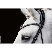 Schockemöhle Filetto SP Isabell Werth Satchmo Nero/Vernice/Argento Schockemöhle Filetto SP Isabell Werth Satchmo Nero/Vernice/Argento