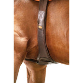 Schockemöhle Sottopancia Portland Espresso/Argento Schockemöhle Sottopancia Portland Espresso/Argento