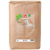 Sectolin Ortica Sectolin Ortica