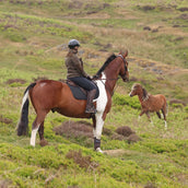 Aubrion by Shires Maglione Heritage Fleece Oliva scura Aubrion by Shires Maglione Heritage Fleece Oliva scura