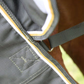 Highlander Plus by Shires Ritorno dell'affluenza alle urne 50g Verde Highlander Plus by Shires Ritorno dell'affluenza alle urne 50g Verde