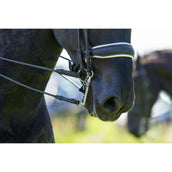 Trust Morso da Dressage Sweet Iron Porto basso fisso di Weymouth Trust Morso da Dressage Sweet Iron Porto basso fisso di Weymouth