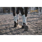 Veredus Parastinchi TRB Save the Sheep Rear Bianco Veredus Parastinchi TRB Save the Sheep Rear Bianco