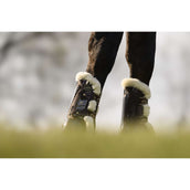 Veredus Stinchiere Carbon Gel Absolute Save the Sheep Front Marrone Veredus Stinchiere Carbon Gel Absolute Save the Sheep Front Marrone