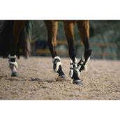 Veredus Stinchiere Carbon Gel Absolute Save the Sheep Rear Nero Veredus Stinchiere Carbon Gel Absolute Save the Sheep Rear Nero