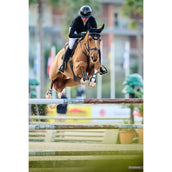 Veredus Casco da equitazione Vita Visiera Larga Lacca Nera Veredus Casco da equitazione Vita Visiera Larga Lacca Nera