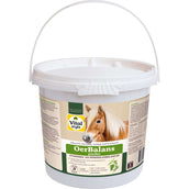 Vitalstyle Equilibrio primordiale Vitalstyle Equilibrio primordiale