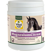 Vitalstyle Citrato di Magnesio Vitalstyle Citrato di Magnesio