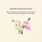 Vitalstyle GastroComplex+ Vitalstyle GastroComplex+