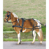 Waldhausen Imbracatura Nero Waldhausen Imbracatura Nero