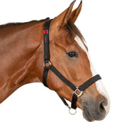 Waldhausen Capestro di Sicurezza Nero Waldhausen Capestro di Sicurezza Nero