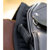 Waldhausen Sottosella Trinidad Dressage Nero Waldhausen Sottosella Trinidad Dressage Nero