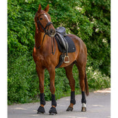 Waldhausen Sottosella Trinidad Dressage Nero Waldhausen Sottosella Trinidad Dressage Nero