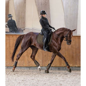 Waldhausen Parastinchi Comfort Fit Verde/Marrone Waldhausen Parastinchi Comfort Fit Verde/Marrone