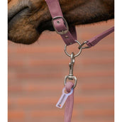 Waldhausen Set Cavezza Velvet Dusky Pink Waldhausen Set Cavezza Velvet Dusky Pink