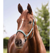 Waldhausen Capezzina Perlon Satin Silverblue Waldhausen Capezzina Perlon Satin Silverblue