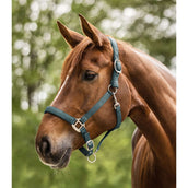 Waldhausen Capezzina Satin Pine Green Waldhausen Capezzina Satin Pine Green