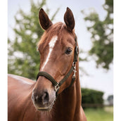 Waldhausen Capezzina Perlon Satin Verde/Marrone Waldhausen Capezzina Perlon Satin Verde/Marrone