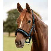 Waldhausen Capezzina Elegant Petrol Blue Waldhausen Capezzina Elegant Petrol Blue