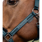 Waldhausen Capezzina Elegant Petrol Blue Waldhausen Capezzina Elegant Petrol Blue