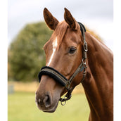 Waldhausen Capezzina Elegant Verde/Marrone Waldhausen Capezzina Elegant Verde/Marrone