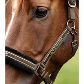 Waldhausen Capezzina Elegant Verde/Marrone Waldhausen Capezzina Elegant Verde/Marrone