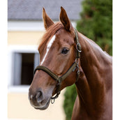 Waldhausen Capezzina Athletic Verde/Marrone Waldhausen Capezzina Athletic Verde/Marrone