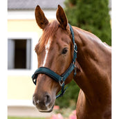 Waldhausen Capezzina Soft Touch Petrol Blue Waldhausen Capezzina Soft Touch Petrol Blue