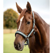 Waldhausen Capezzina Soft Touch Silverblue Waldhausen Capezzina Soft Touch Silverblue