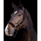 Waldhausen Capezzina St. Gallen Nero Waldhausen Capezzina St. Gallen Nero