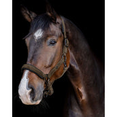 Waldhausen Capezzina St. Gallen Verde/Marrone Waldhausen Capezzina St. Gallen Verde/Marrone