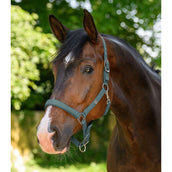 Waldhausen Capezzina Trinidad Pine Green Waldhausen Capezzina Trinidad Pine Green