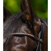 Waldhausen Frontalino X-Line Glam Nero Pesca Waldhausen Frontalino X-Line Glam Nero Pesca