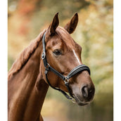 Waldhausen Capezzina S-Line Glamour Nero Waldhausen Capezzina S-Line Glamour Nero