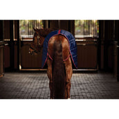 WeatherBeeta Coperta da scuderia ComFiTec 210D Channel Quilt Standard Neck 100g Navy/Burgundy WeatherBeeta Coperta da scuderia ComFiTec 210D Channel Quilt Standard Neck 100g Navy/Burgundy