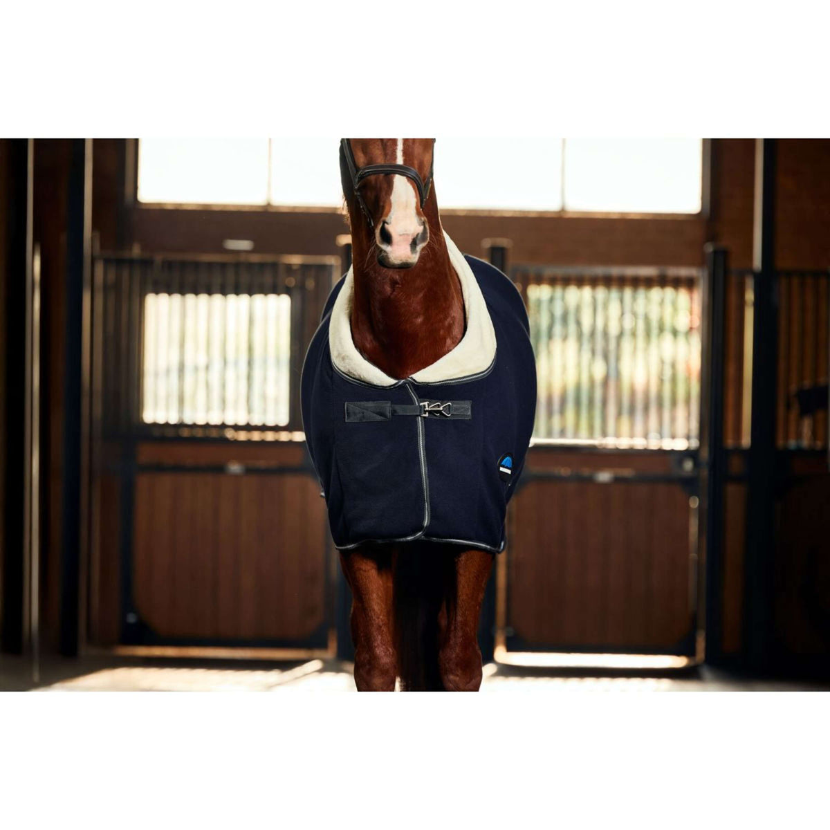 Weatherbeeta Coperta in Pile Sherpa Cooler Standard Neck Blu marino/Carbone Weatherbeeta Coperta in Pile Sherpa Cooler Standard Neck Blu marino/Carbone