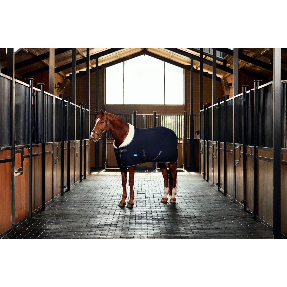 Weatherbeeta Coperta in Pile Sherpa Cooler Standard Neck Blu marino/Carbone Weatherbeeta Coperta in Pile Sherpa Cooler Standard Neck Blu marino/Carbone