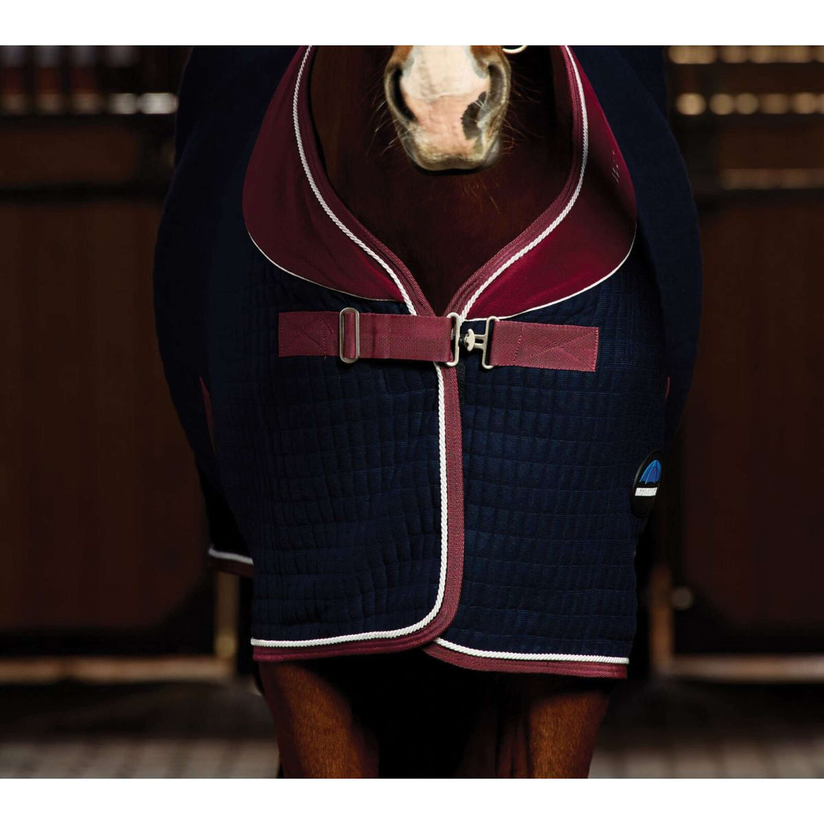 Weatherbeeta Cooler Thermocell Standard Neck Navy/Burgundy Weatherbeeta Cooler Thermocell Standard Neck Navy/Burgundy