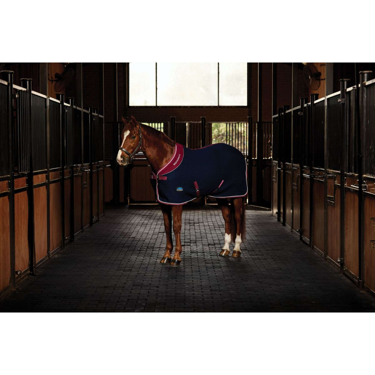 Weatherbeeta Cooler Thermocell Standard Neck Navy/Burgundy Weatherbeeta Cooler Thermocell Standard Neck Navy/Burgundy