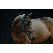 Collegiate Briglia ComFiTec Vogue Anatomisch Nero Collegiate Briglia ComFiTec Vogue Anatomisch Nero